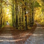 Three Choices We Can Make to Improve Our Lives is an article looking at choices either we choose or life chooses for us.