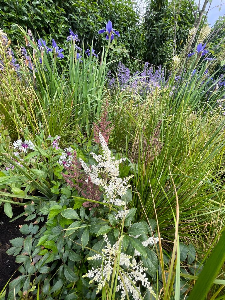 Scott D. Renwick Garden Design